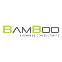 BamBoo Financial Consultants logo, BamBoo Financial Consultants contact details