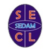 SEDAM Engineering & Consulting Limited logo, SEDAM Engineering & Consulting Limited contact details