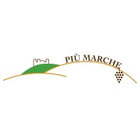 Più Marche logo, Più Marche contact details