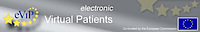 Evip Electronic Virtual Patients logo, Evip Electronic Virtual Patients contact details