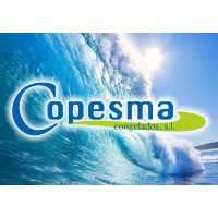 COPESMA CONGELADOS, SL logo, COPESMA CONGELADOS, SL contact details