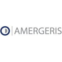 Amergeris Wealth Management Group logo, Amergeris Wealth Management Group contact details