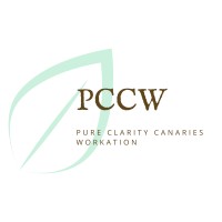 Pure Clarity Canaries Workation logo, Pure Clarity Canaries Workation contact details