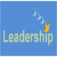 Digital Executives Transformation Leadership 4.0 logo, Digital Executives Transformation Leadership 4.0 contact details