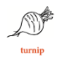 Turnip Interim BV logo, Turnip Interim BV contact details