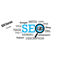 SEO Cursus Gouda logo, SEO Cursus Gouda contact details