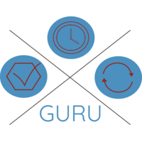 QMS Guru logo, QMS Guru contact details