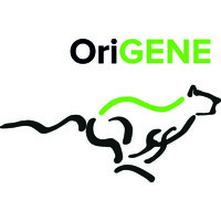 OriGENE Concepts logo, OriGENE Concepts contact details