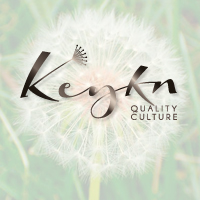 Keykn Quality Culture logo, Keykn Quality Culture contact details