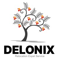 Delonix Agency logo, Delonix Agency contact details