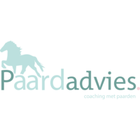 Paardadvies Tessa Deen logo, Paardadvies Tessa Deen contact details