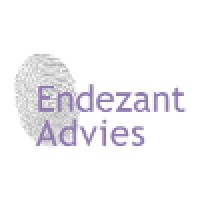 Endezant Advies logo, Endezant Advies contact details