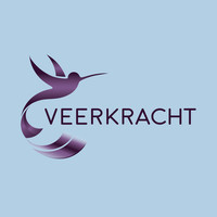 VeerKracht Haarlem logo, VeerKracht Haarlem contact details