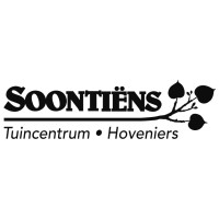 Soontiëns logo, Soontiëns contact details