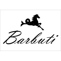 Barbuti S.p.a. logo, Barbuti S.p.a. contact details