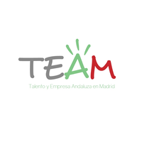 Talento TEAM logo, Talento TEAM contact details