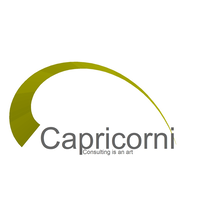 Capricorni BV logo, Capricorni BV contact details