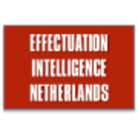 Effectuation-Intelligence Netherlands logo, Effectuation-Intelligence Netherlands contact details