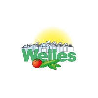 Welles BV logo, Welles BV contact details