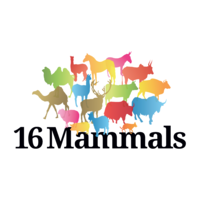 16 Mammals retail design logo, 16 Mammals retail design contact details