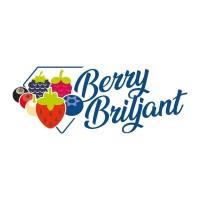 Berry Briljant logo, Berry Briljant contact details