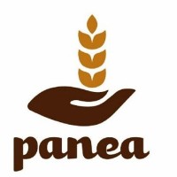 Panaderias Panea logo, Panaderias Panea contact details