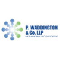 P Waddington & Co. LLP logo, P Waddington & Co. LLP contact details