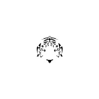 Dancing Tiger Events logo, Dancing Tiger Events contact details