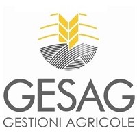 Gesag srl logo, Gesag srl contact details