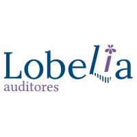 Lobelia Auditores logo, Lobelia Auditores contact details