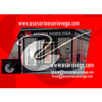 ASESORIA OSORIO VEGA logo, ASESORIA OSORIO VEGA contact details