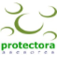 Protectora Asesores logo, Protectora Asesores contact details