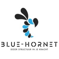 Blue-Hornet logo, Blue-Hornet contact details