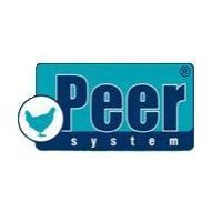 Peer System B.V. logo, Peer System B.V. contact details