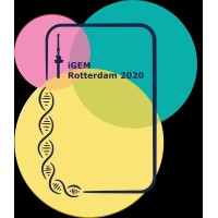 iGEM Rotterdam 2020 logo, iGEM Rotterdam 2020 contact details