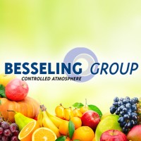 Besseling Group | Controlled Atmosphere logo, Besseling Group | Controlled Atmosphere contact details