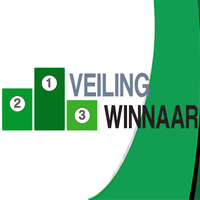 Veilingwinnaar BV logo, Veilingwinnaar BV contact details