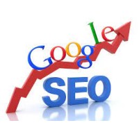 Seo Expert logo, Seo Expert contact details