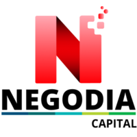 NEGODIA CAPITAL SL logo, NEGODIA CAPITAL SL contact details