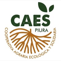 CAES Piura logo, CAES Piura contact details