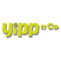 Yipp & Co logo, Yipp & Co contact details