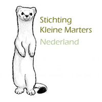 Stichting Kleine Marters Nederland logo, Stichting Kleine Marters Nederland contact details