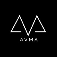 American Ventures Mergers and Acquisitions  (AVMA) logo, American Ventures Mergers and Acquisitions  (AVMA) contact details