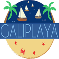 Apartamentos Galiplaya logo, Apartamentos Galiplaya contact details