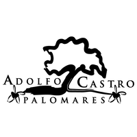 Restaurante Castro Palomares logo, Restaurante Castro Palomares contact details