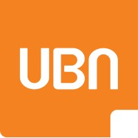 UBN Professionals logo, UBN Professionals contact details