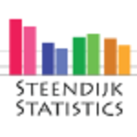 Steendijk Statistics logo, Steendijk Statistics contact details