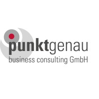 punktgenau business consulting GmbH logo, punktgenau business consulting GmbH contact details