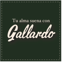 GALLARDO DANCE SL logo, GALLARDO DANCE SL contact details