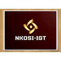 NKOSI IGT PTY LTD logo, NKOSI IGT PTY LTD contact details